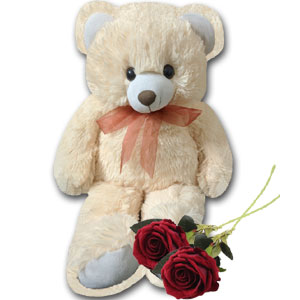 Teddy Bear W/ 2 pcs Red Roses