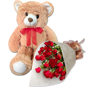 (15) 2 dz red roses w/ Teddy bear