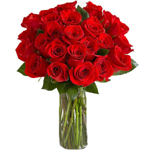(008) Red Roses in Vase