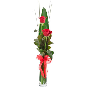 (0003) 2 pieces Red roses in a Vase