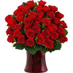 (43) 34 pieces red roses in a vase