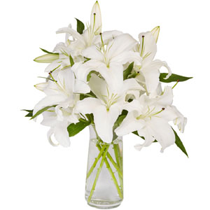 (70) Lilies in a vase