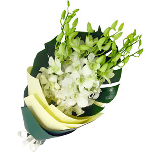 (65) White Orchids in Bouquet