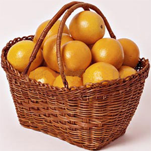 Fruit Basket-23 