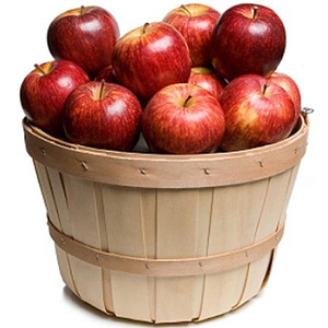 Apple Basket -18