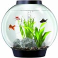 Mini Fish Aquarium 

