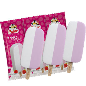 (42) Polar 2 in 1 Ice cream - 3 pieces