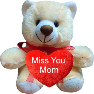 (04) Miss You Mom Teddy Bear