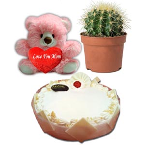 Cake W/ Live Cactus & Bear