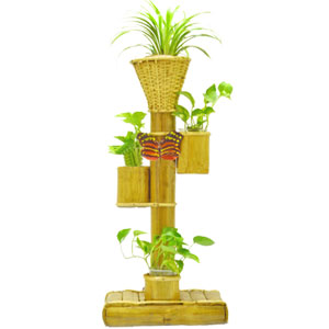 Bamboo stand with live plants