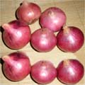 Onion (Indian) 1 KG