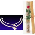 Silver Anklet(Nupur) W/ 1 Piece Red Rose