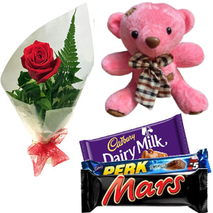 Teddy bear W/ chocolates & red rose