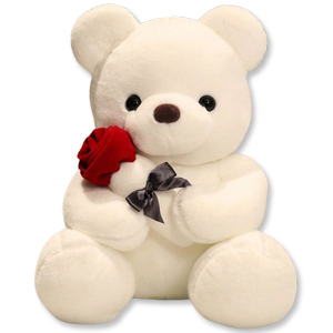 Milk White Teddy Bear with Rose