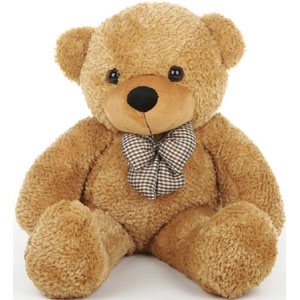 (20) Single teddy bear