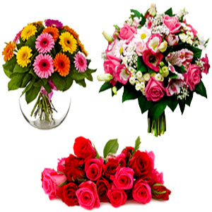 pp/homepage/send-flowers-to-bangladesh.jpg