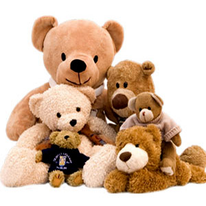 pp/homepage/send-teddy-bear-to-bangladesh.jpg